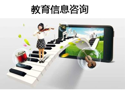 教育信息咨询的现状、挑战与未来发展路径